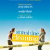 Sunshine Cleaning (2008)