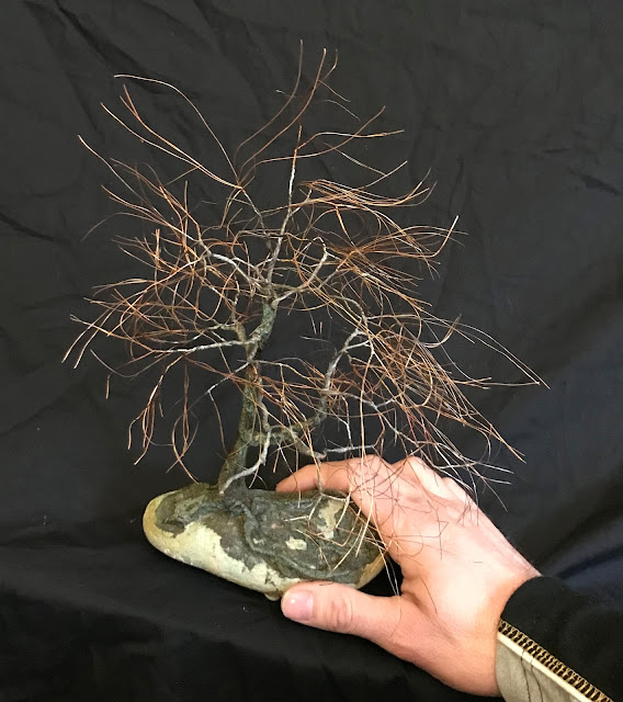 Bonsai, Bonsai tree, Chokkan, Copper Wire, Natural Rock, Oxidized Copper, Recycled materials,  TAE Trees, TAETree, Touch Art Experience, Wabi Sabi,