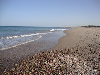 La Devesa Beach landscape photo - Valencia - Spain