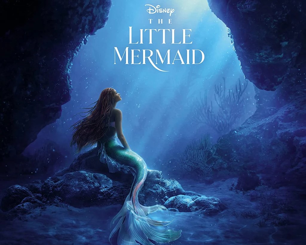 Jadwal Bioskop Kebumen Hari Ini Jumat 26 Mei 2023: Little Mermaid, Hati Suhita, Fast X dan Kajiman