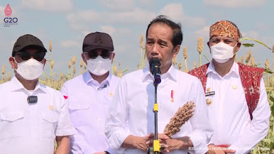 Jokowi Pastikan Sorgum Mampu Rekrut SDM