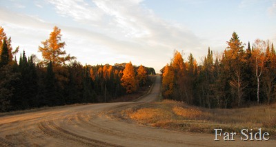 Joe Macks road Tamaracks on Oct 23