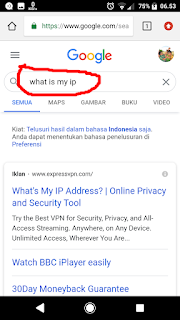 google search what is my ip