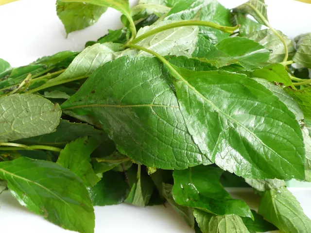 Wash and cut the scent leaves into small pieces.