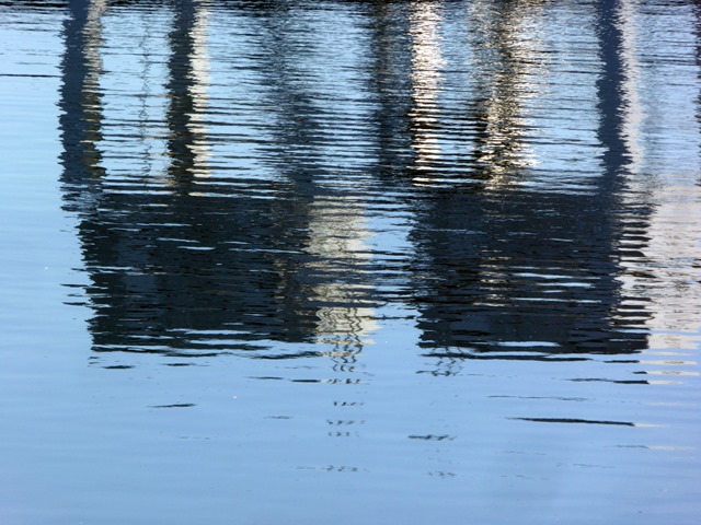 P1170765