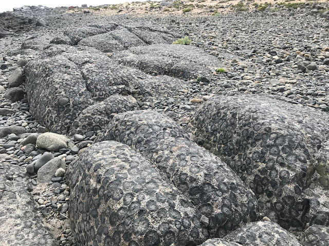 Granito orbicular, Región de Atacama, Chile