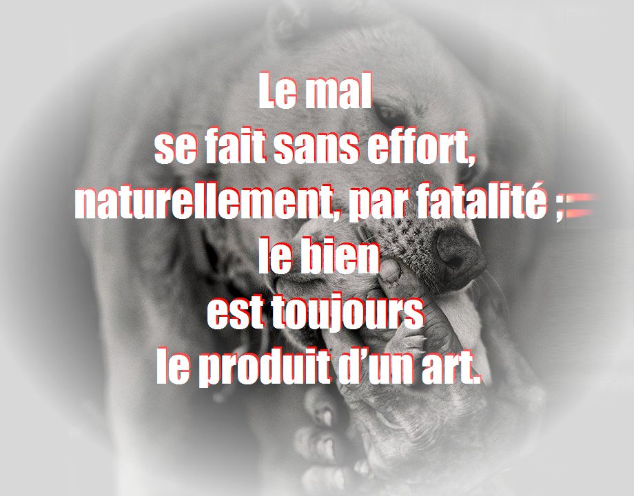 Blog Page 11 Sur Texte D Amitie Sms Message Poeme Et Citation Sur L Amitie