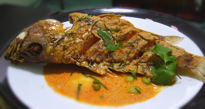 Crispy Fried Fish with Red Curry Sauce