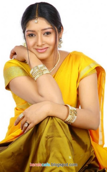 malayalam actress hot in saree  