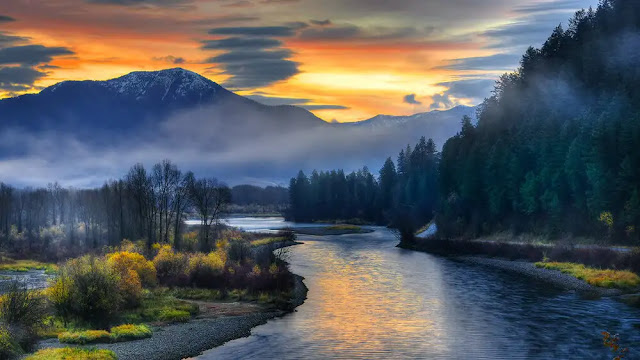 Swan Valley