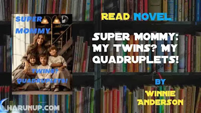 Read Super Mommy: My Twins? My Quadruplets! Novel by Winnie Anderson