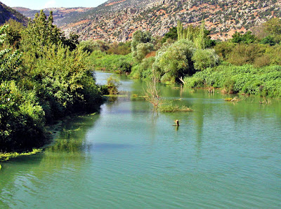 Orontes river