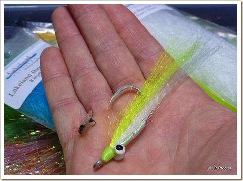 GT Clouser