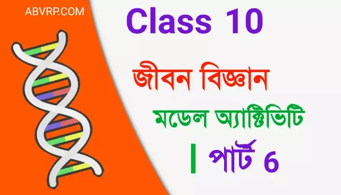 দশম শ্রেণী জীবন বিজ্ঞান মডেল অ্যাক্টিভিটি পার্ট 6 | class 10 Life Science model activity 2021 part 6 | ক্লাস টেন লাইফ সাইন্স মডেল অ্যাক্টিভিটি পার্ট 6