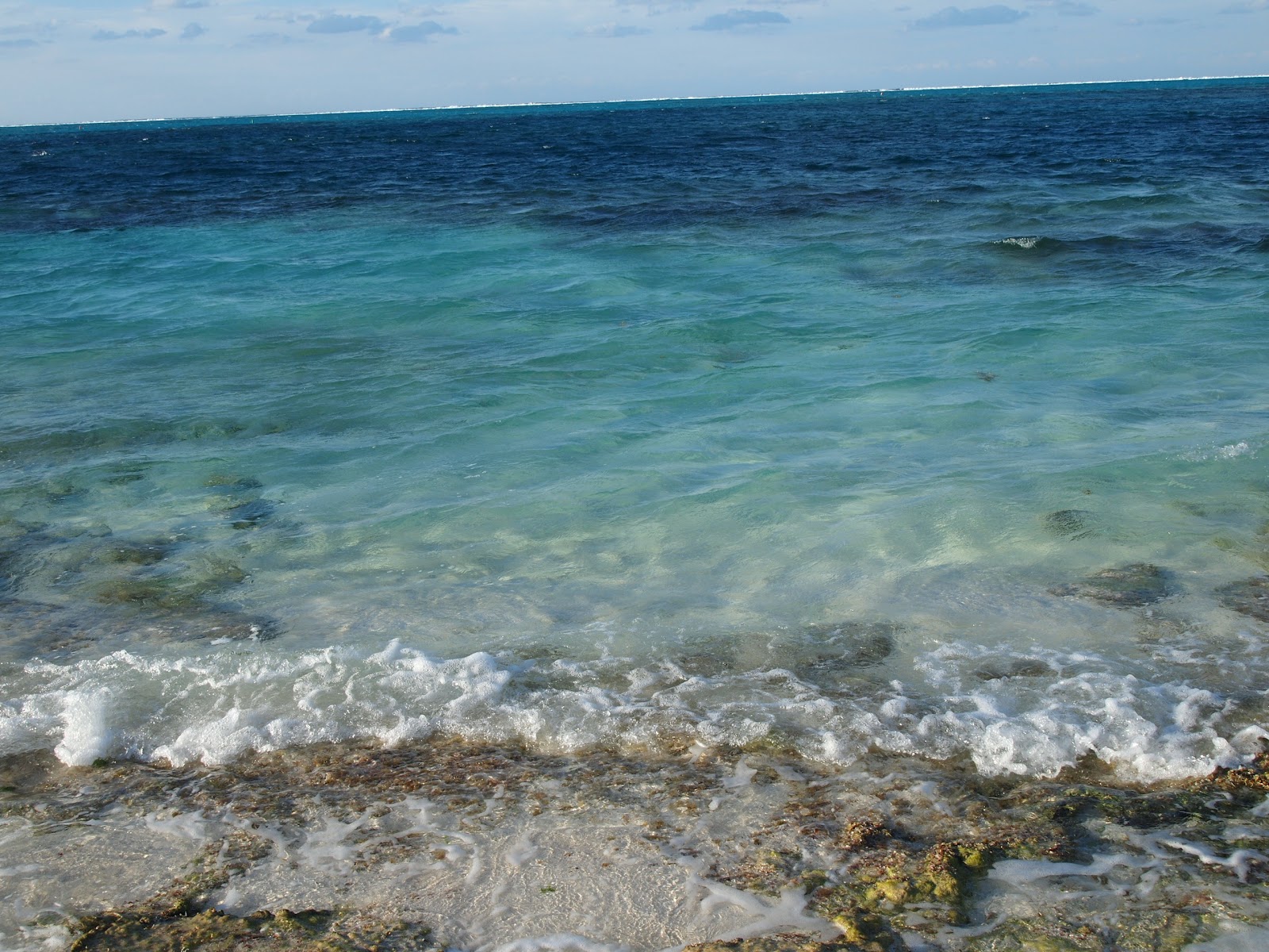 March 2010 136.JPG