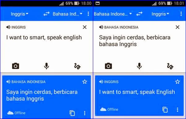 translate google offline