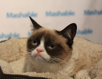 Grumpy Cat Good Morning