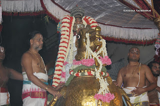 Aani,Hahama VAhanam Purappadu , Vahanam,Sri Theliya Singar, Yoga Narasimhar,Brahmotsavam ,Purappadu,Video, Divya Prabhandam,Sri Parthasarathy Perumal, Triplicane,Thiruvallikeni,Utsavam,