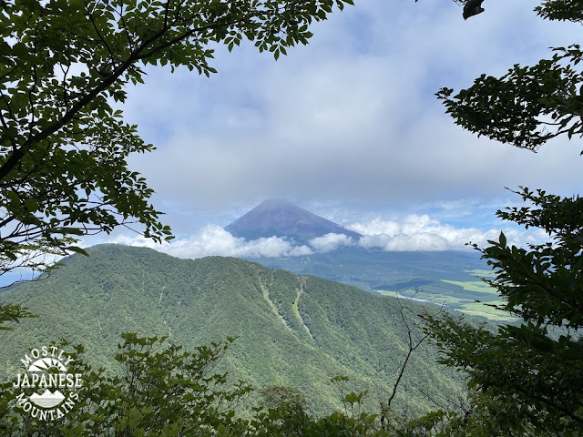 Mt. Echizen and Mt. Fuji