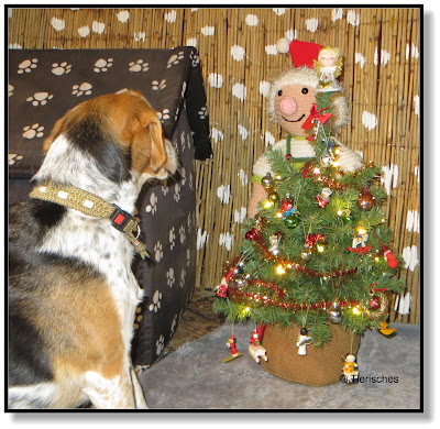 Beagle Emma schmückt mit dem Wichtel den Weihnachtsbaum