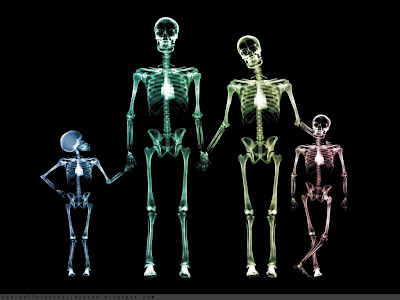 Human Xray Scan Wallpaper | Resolution 1024 x 768