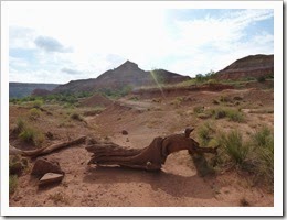 Palo Duro Canyon S.P TX