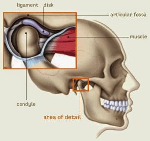 http://www.dentalimplantsclinicindia.com/