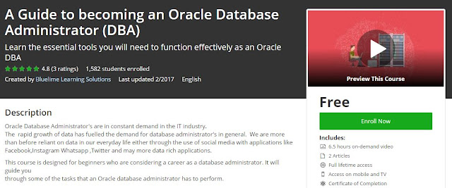 A-Guide-to-becoming-an-Oracle-Database-Administrator-(DBA)