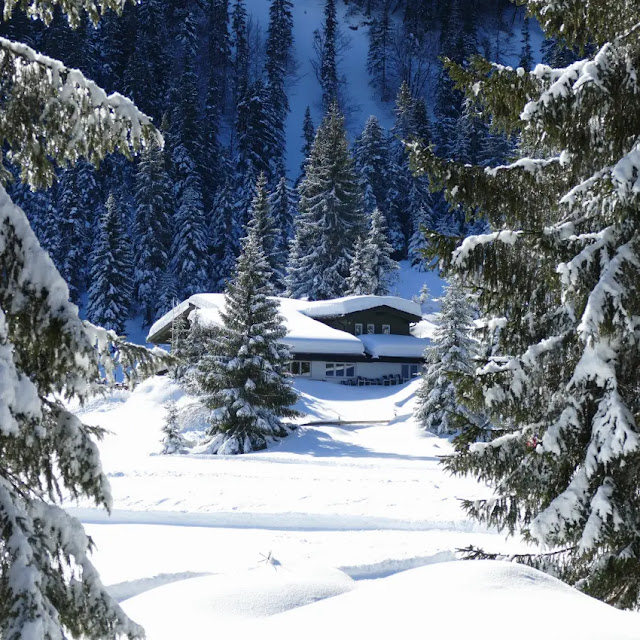 austria escursioni invernali ciaspolate