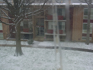 image of snow covered green grass