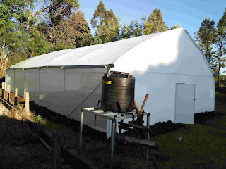 Metallic Greenhouse in Kenya