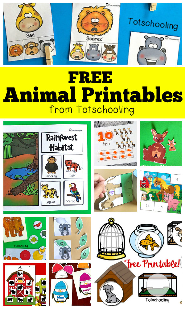 Free Animal Printables For Preschool Totschooling Toddler Preschool Kindergarten Educational Printables