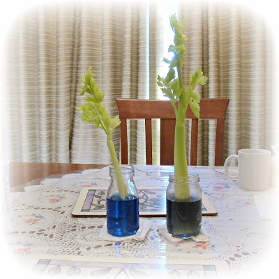 image food colouring and celery