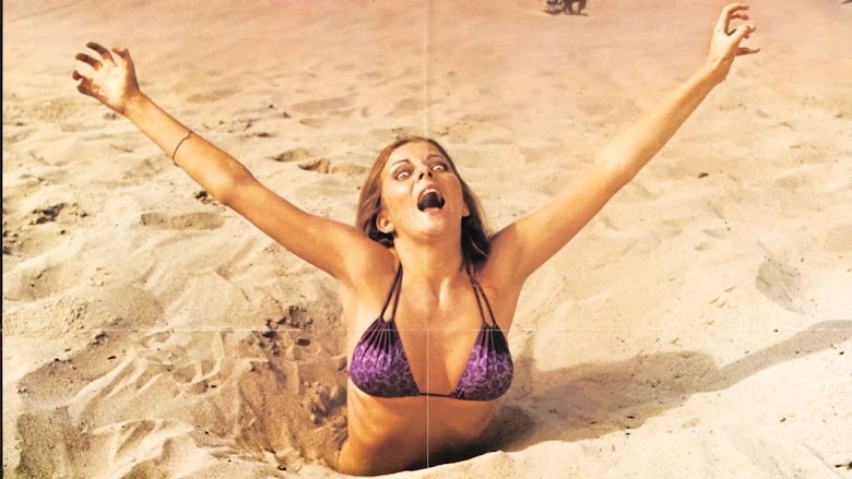 Playa sangrienta 1980 dvd full descargar