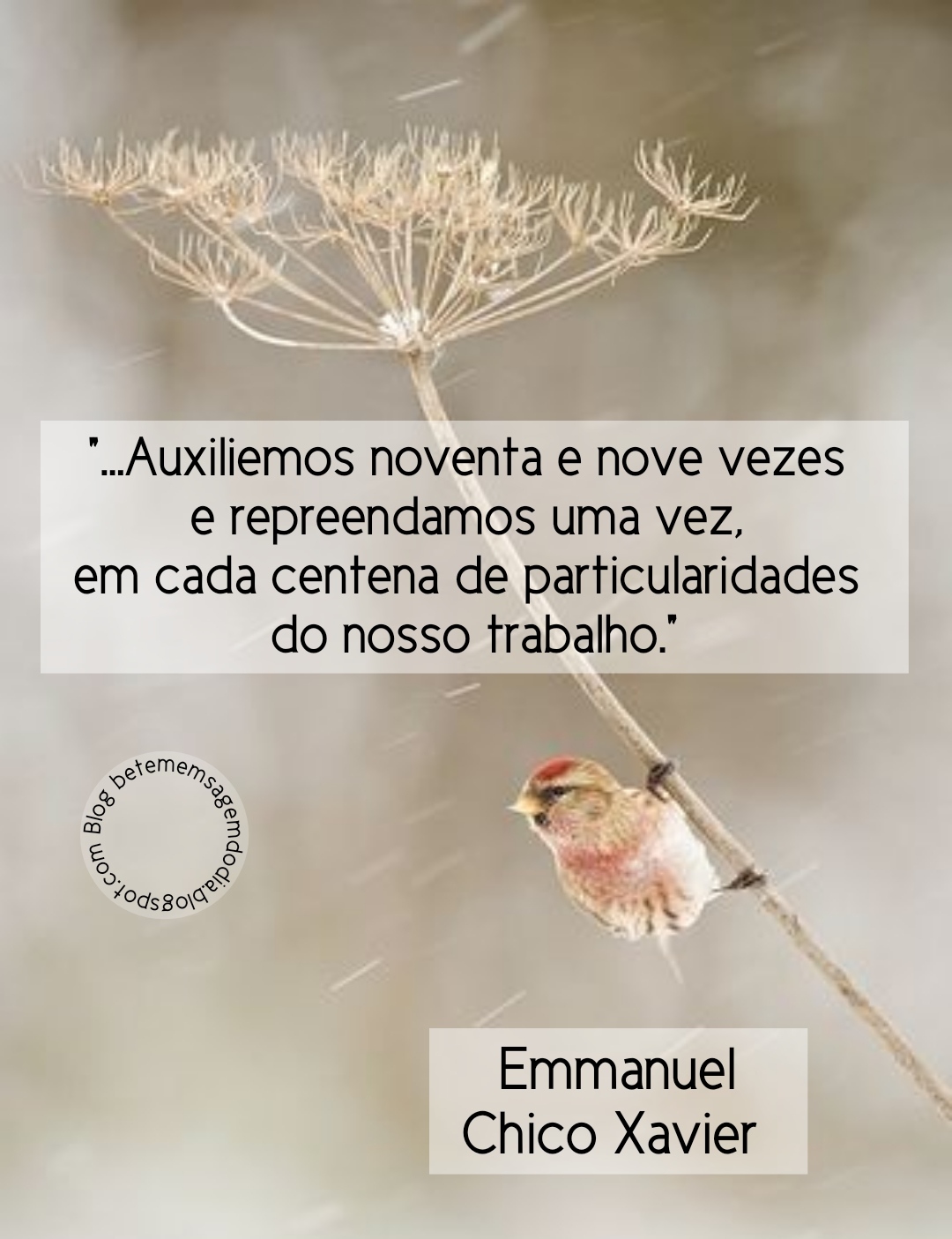 Emmanuel - Livro Pensamento e Vida - Chico Xavier - Cap. 12 - Família
