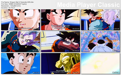 Download Film / Anime Dragon Ball Z Majin Buu Saga Episode 228 Bahasa Indonesia