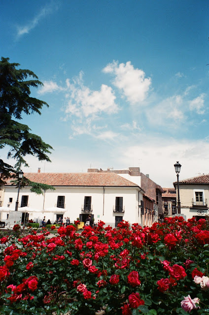 Alcalá de Henares España 西班牙埃那雷斯堡