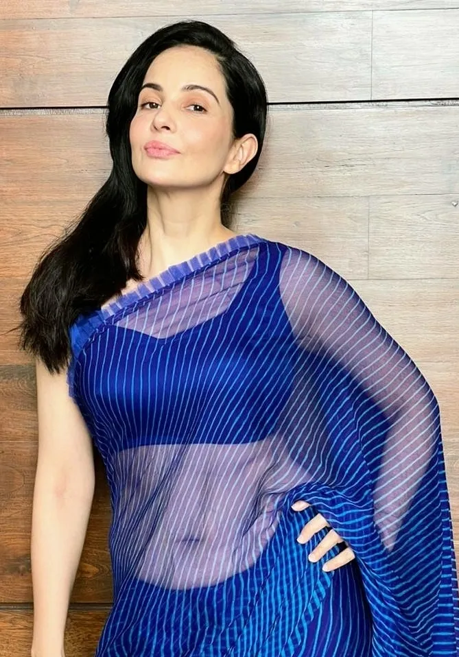 rukhsar rehman navel low waist saree tv actress