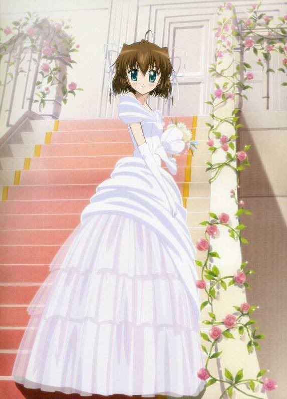 Anime blog: Anime Wedding