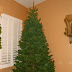 New Noble Fir Christmas Tree Images