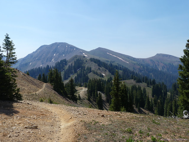 53: across grassy bits to a new mountain