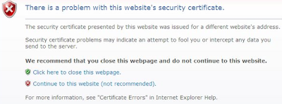 Internet Explorer certificate warning