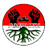 Profil Kegiatan Amphibi