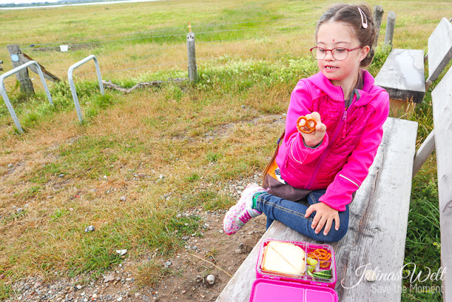 Vesperbox schmatzfatz junior in pink im Test Lunchbox Bento