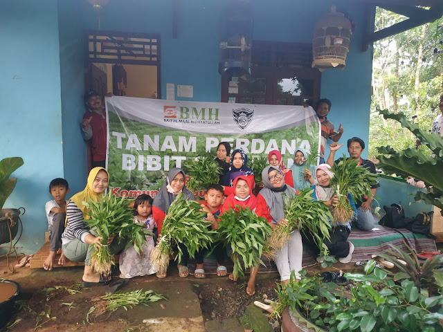 Dari Gunungpati, Panen Perdana Sayuran Kolaborasi BMH-KGK Berlangsung Ceria