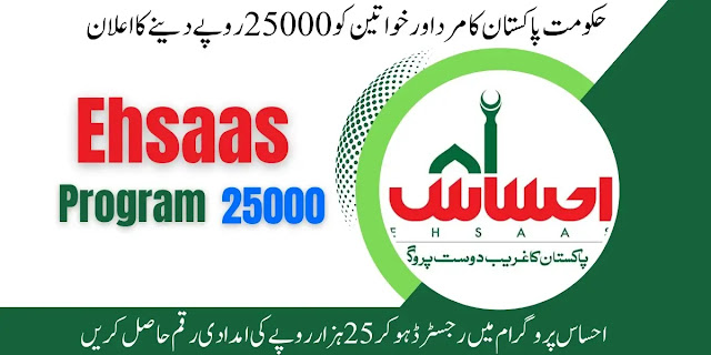 Ehsaas Program 8171 Check Online 2024