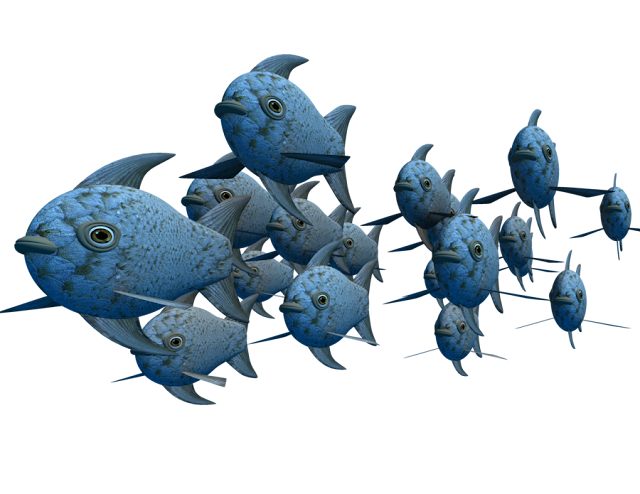 Fish PNG 