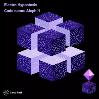 Vector Electro Hypostasis 1