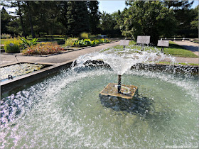 Aquatic Garden en el Jardín Botánico de Montreal