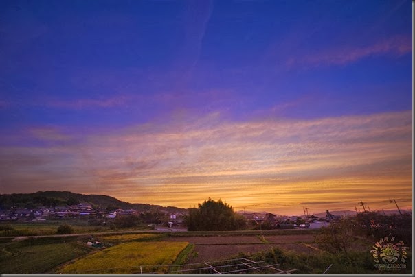 D700_2013-10-04_027
